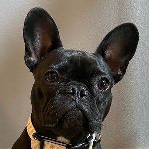 Meet your Posher, Kristine